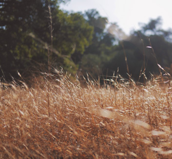 梦想队加入市罗德曼首秀，化身篮球明星