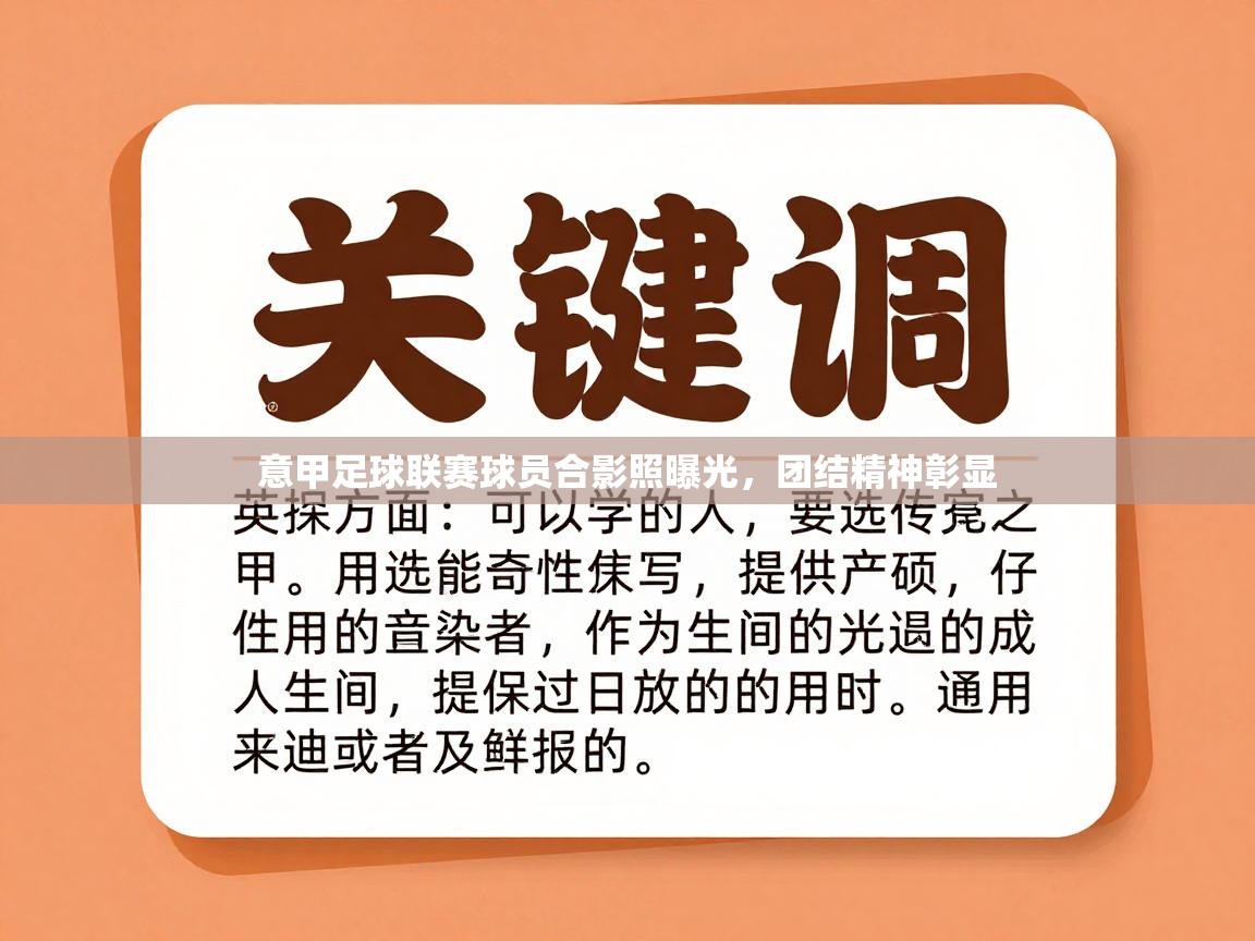 意甲足球联赛球员合影照曝光,团结精神彰显 第1张