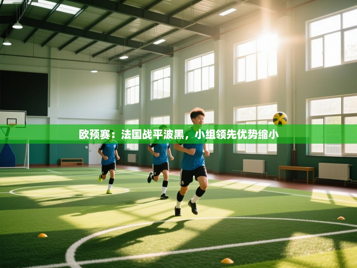 欧预赛：法国战平波黑，小组领先优势缩小  第1张