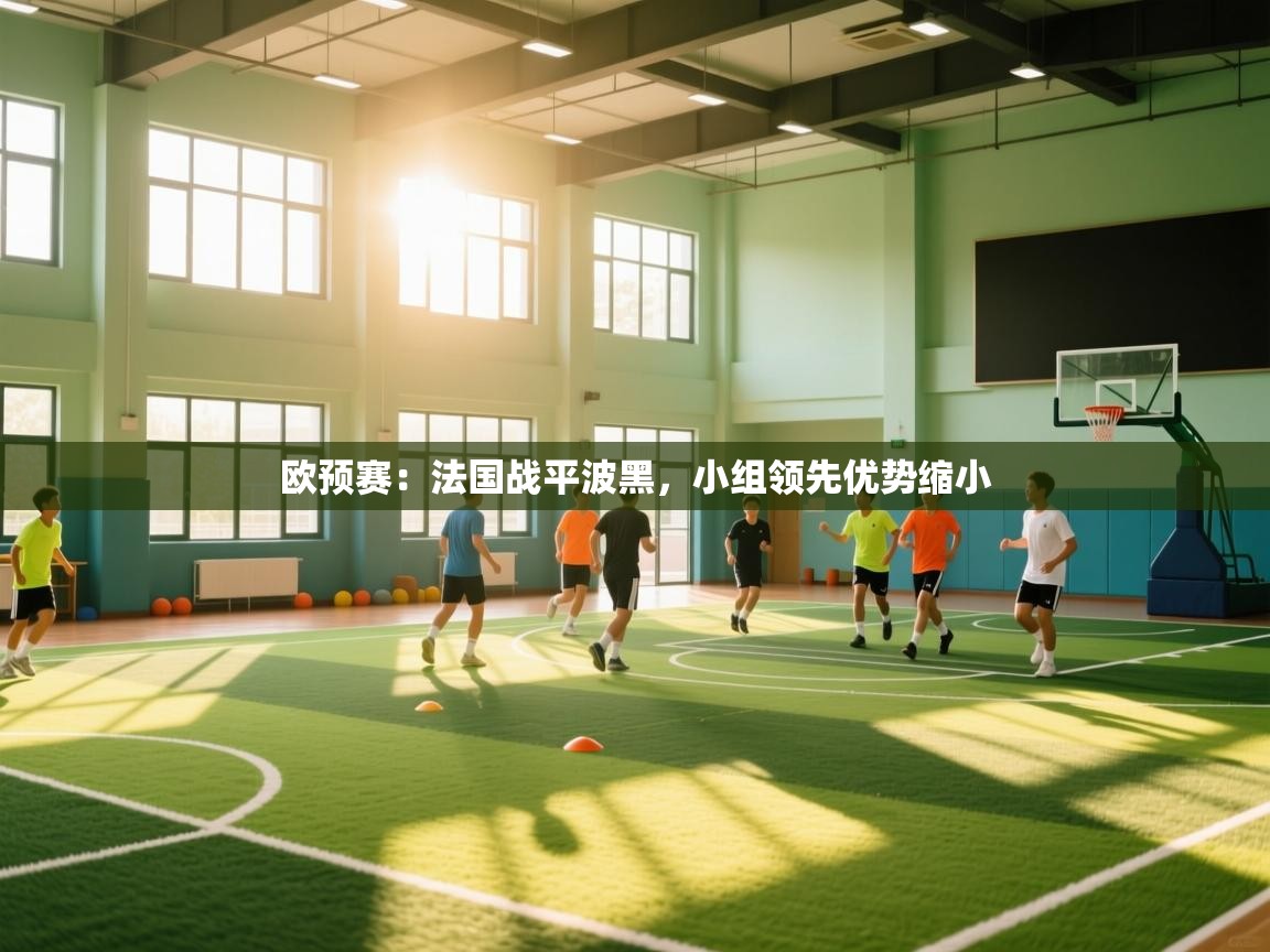 欧预赛：法国战平波黑，小组领先优势缩小  第2张