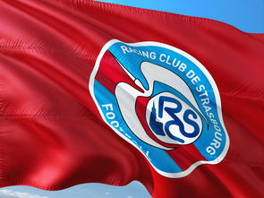 米乐体育官网-帕尔梅拉斯多线作战阵容调整，保证体能充沛