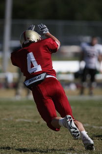 米乐官网m6-蒙特雷传控战术优化，球队整体配合更顺畅